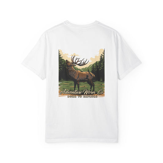 Elk