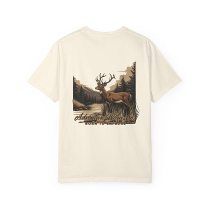 Deer