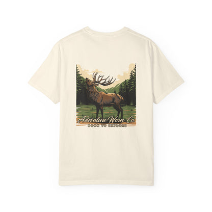 Elk