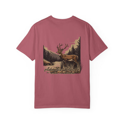 Deer