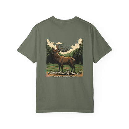 Elk